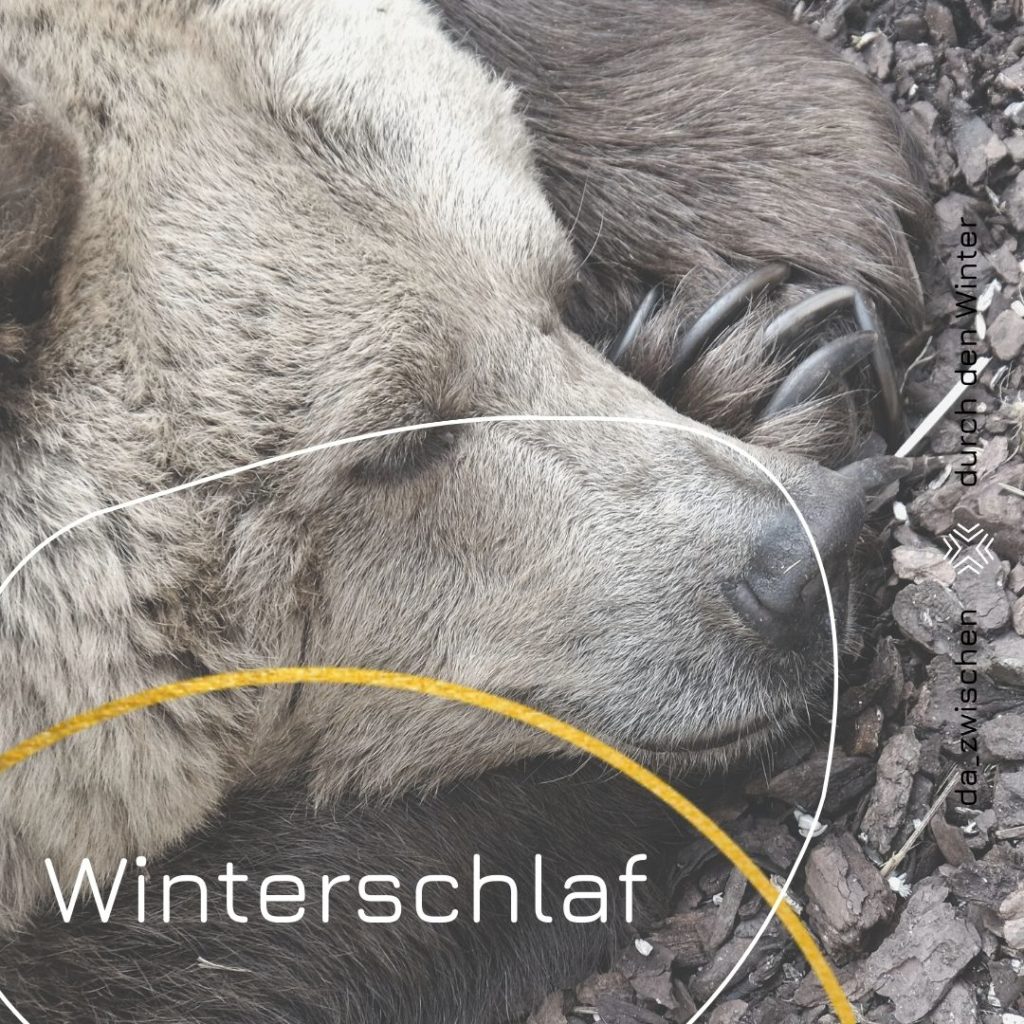 Winterschlaf Kopie von DURCH DEN WINTER zum bearbeiten von allen 1024x1024 - Winterschlaf